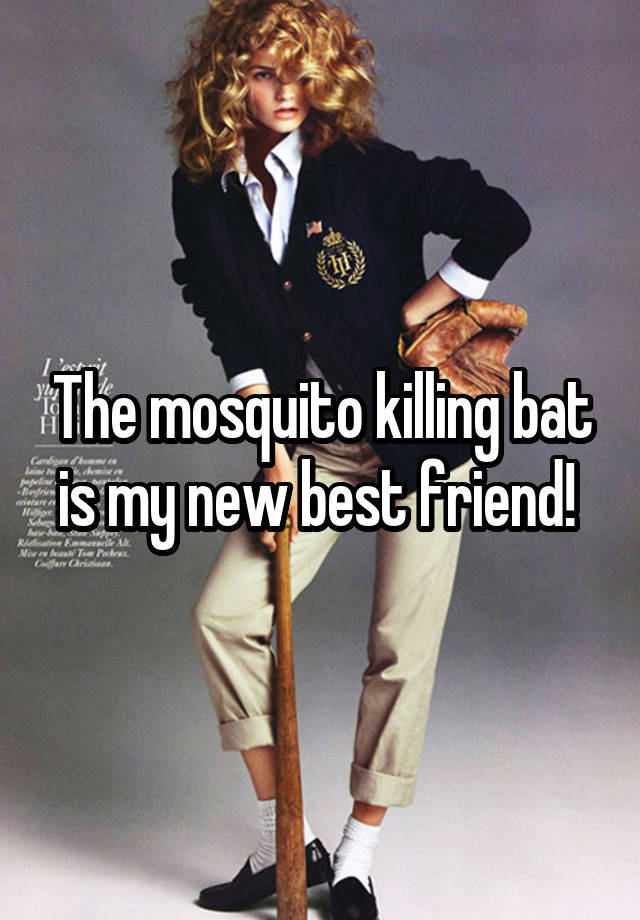 The mosquito killing bat is my new best friend! 