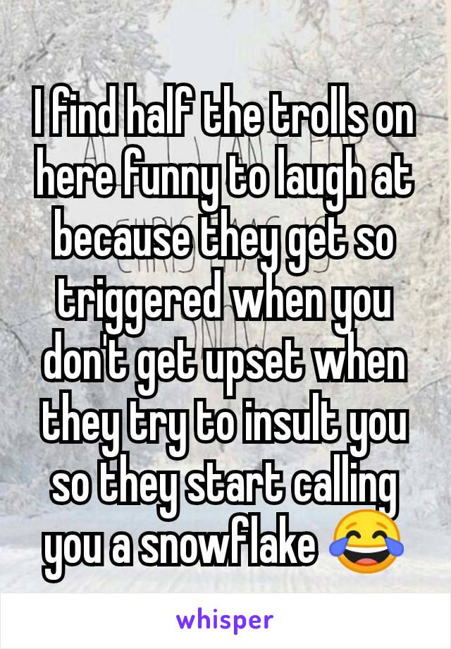 I find half the trolls on here funny to laugh at because they get so triggered when you don't get upset when they try to insult you so they start calling you a snowflake 😂