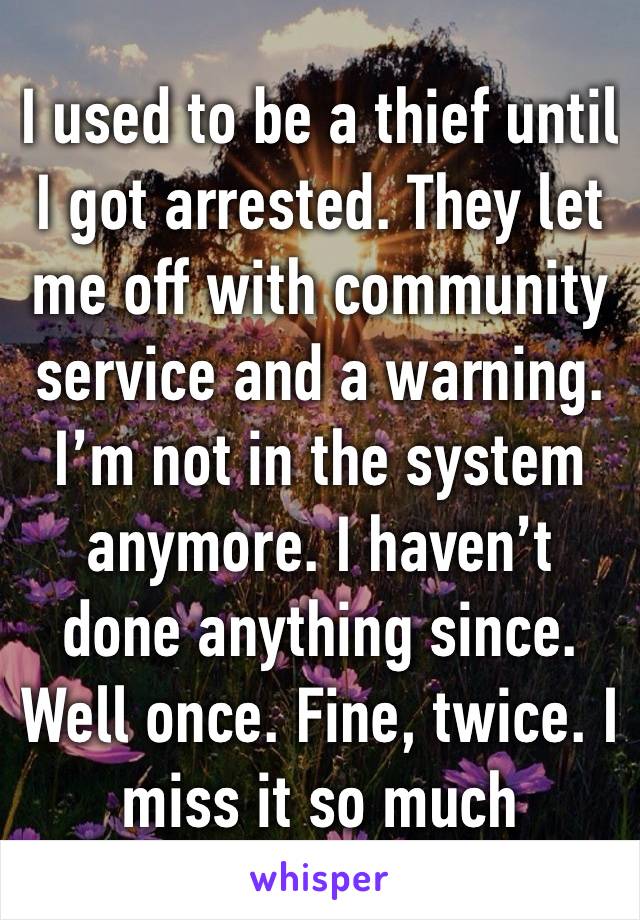 I used to be a thief until I got arrested. They let me off with community service and a warning. I’m not in the system anymore. I haven’t done anything since. Well once. Fine, twice. I miss it so much