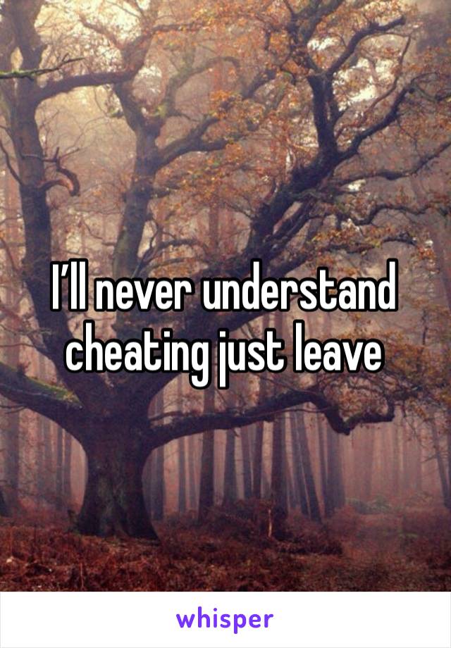 I’ll never understand cheating just leave 