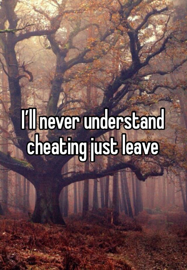 I’ll never understand cheating just leave 