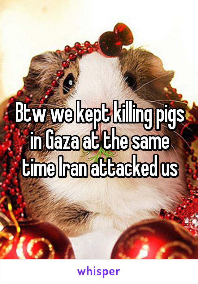 Btw we kept killing pigs in Gaza at the same time Iran attacked us