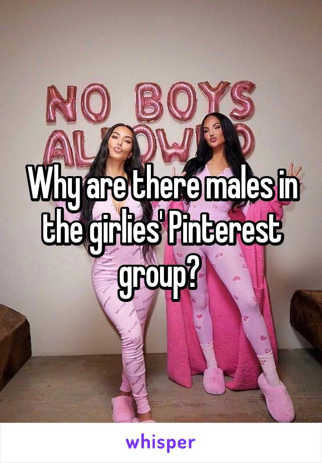 Why are there males in the girlies' Pinterest group? 