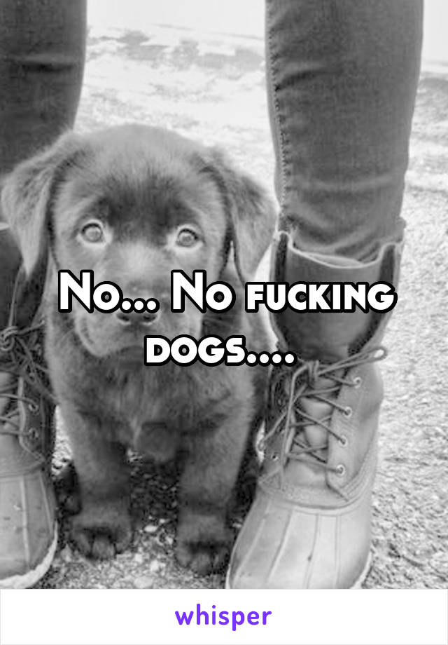 No... No fucking dogs.... 