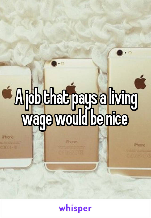 A job that pays a living wage would be nice 