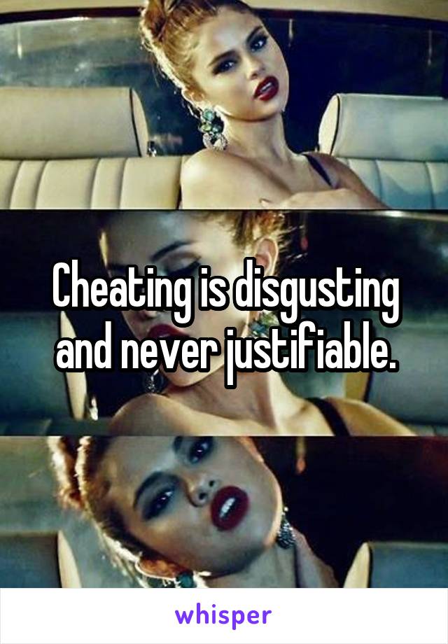 Cheating is disgusting and never justifiable.