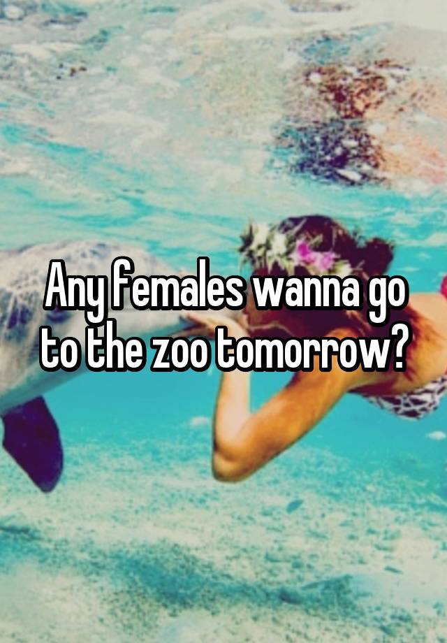 Any females wanna go to the zoo tomorrow?