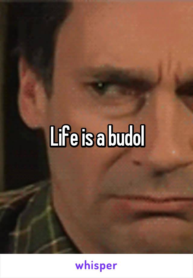 Life is a budol