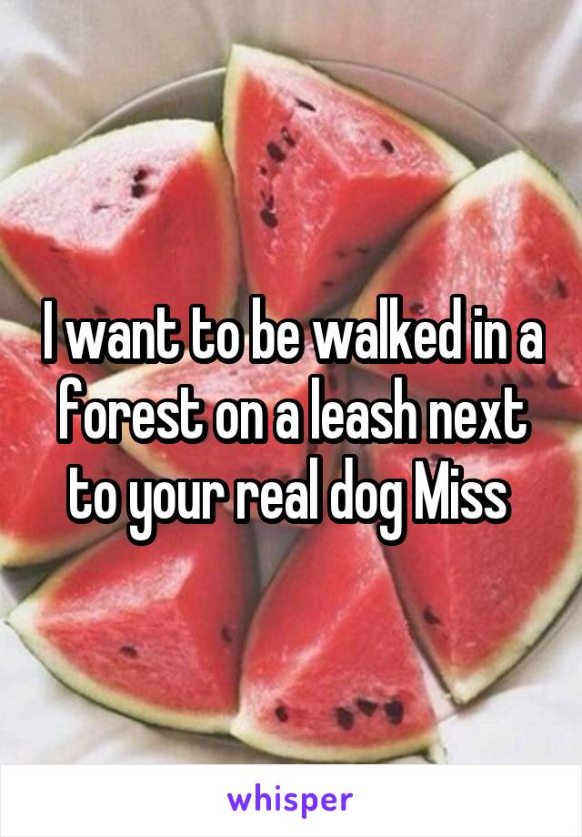 I want to be walked in a forest on a leash next to your real dog Miss 