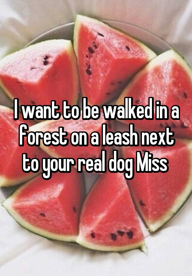 I want to be walked in a forest on a leash next to your real dog Miss 