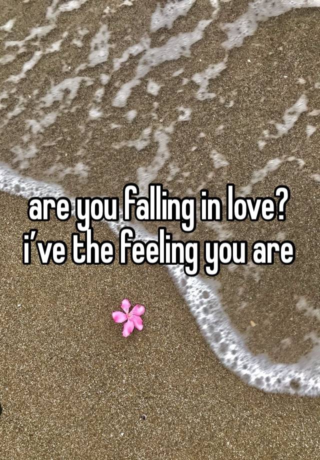 are you falling in love? 
i’ve the feeling you are 