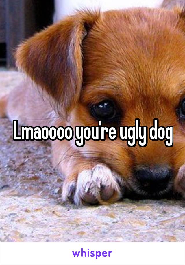 Lmaoooo you're ugly dog