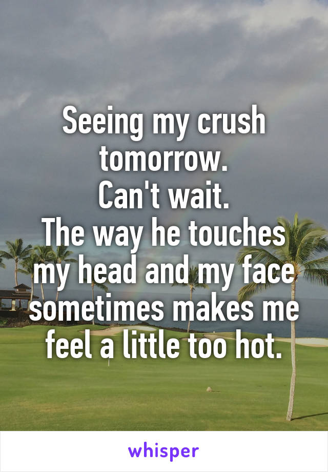 Seeing my crush tomorrow.
Can't wait.
The way he touches my head and my face sometimes makes me feel a little too hot.