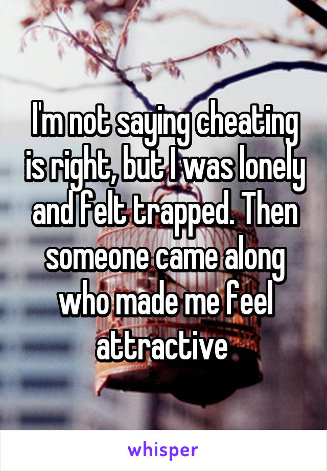 I'm not saying cheating is right, but I was lonely and felt trapped. Then someone came along who made me feel attractive 