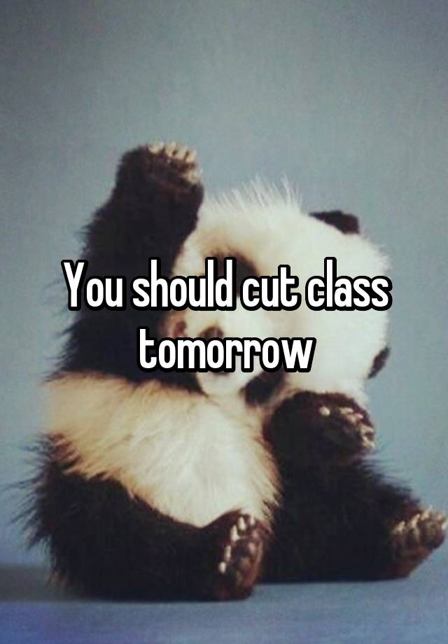 You should cut class tomorrow