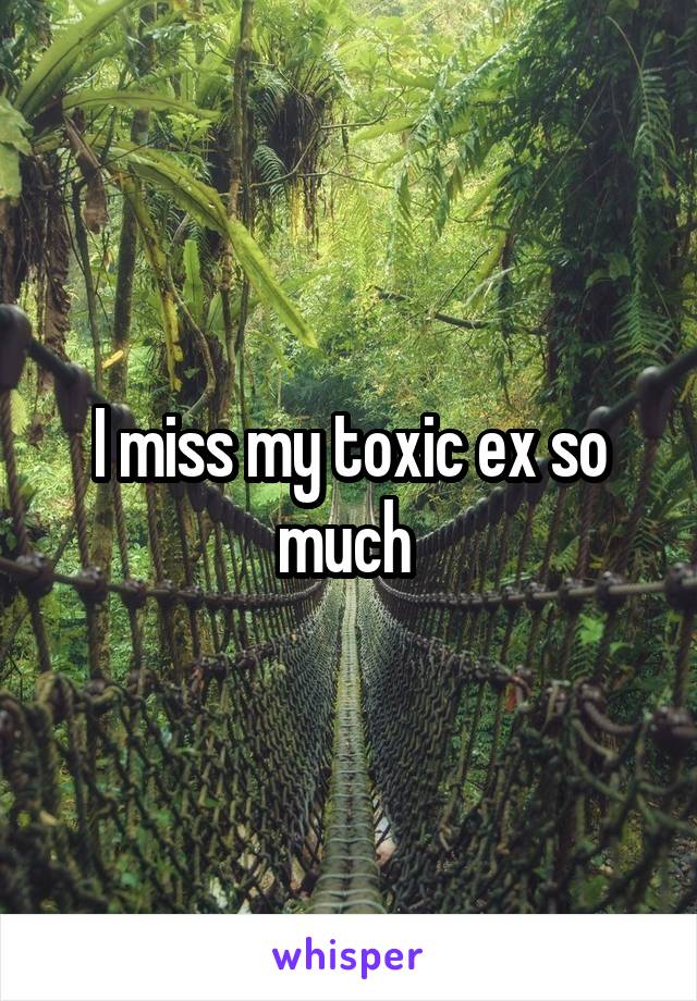 I miss my toxic ex so much 