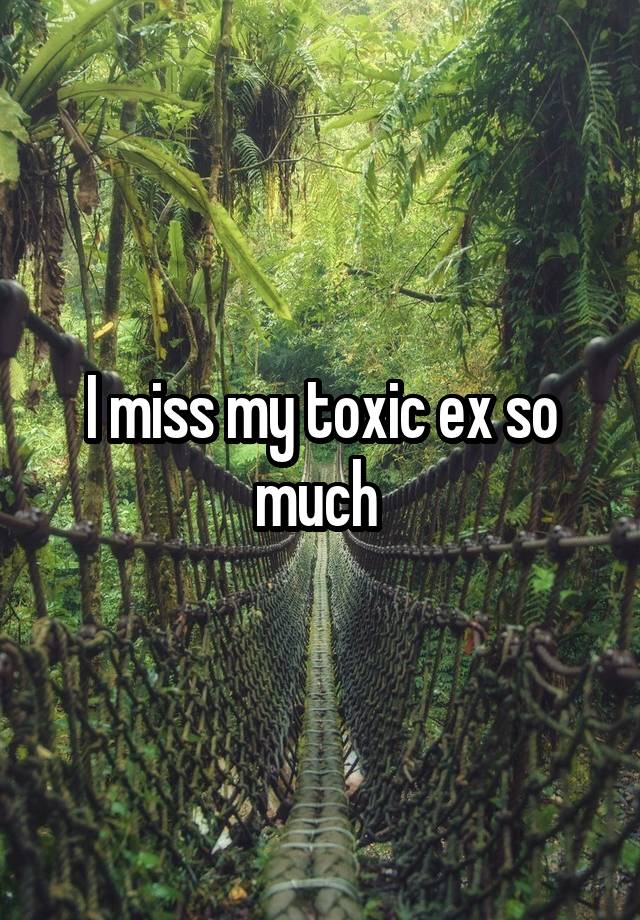 I miss my toxic ex so much 