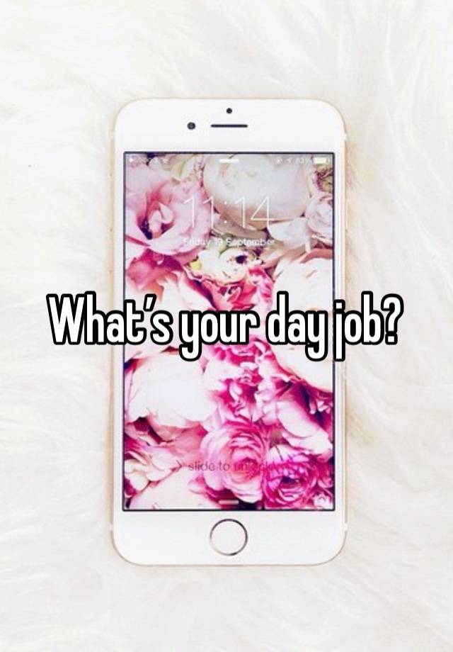 What’s your day job?