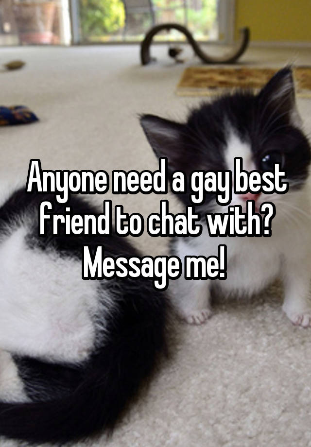 Anyone need a gay best friend to chat with? Message me! 