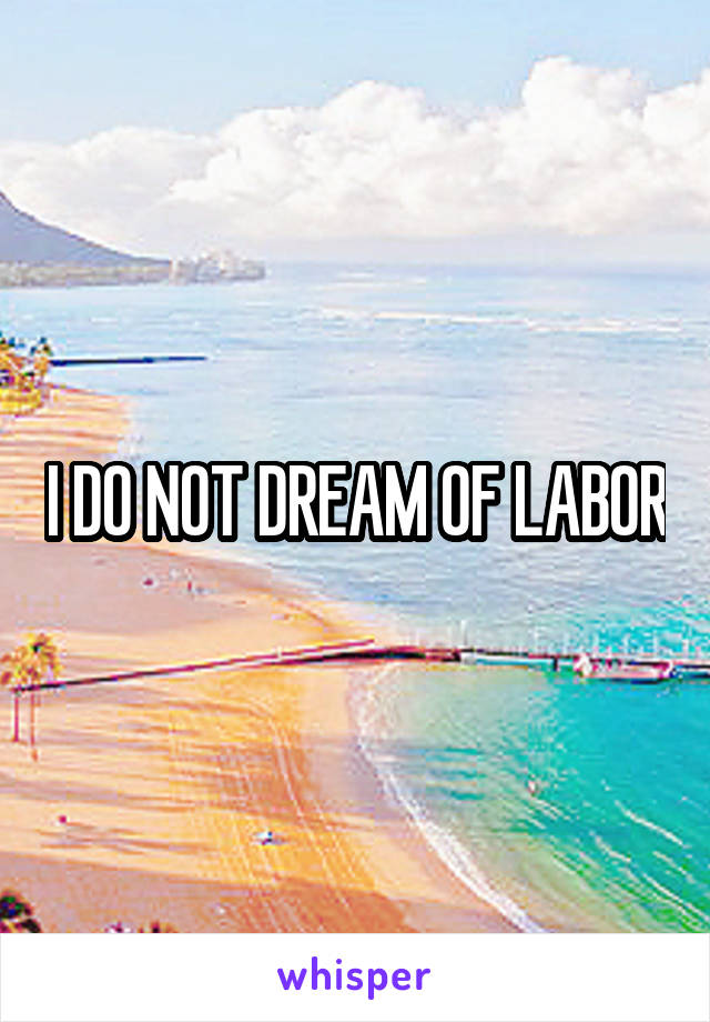 I DO NOT DREAM OF LABOR