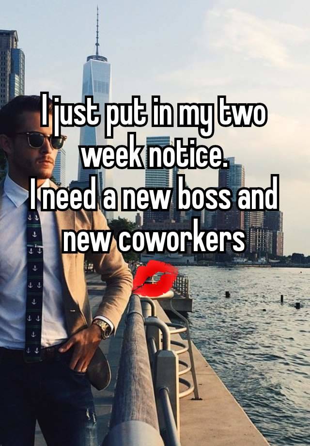 I just put in my two week notice.
I need a new boss and new coworkers
💋