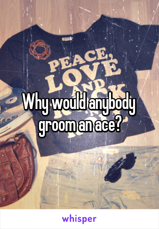 Why would anybody 
groom an ace?