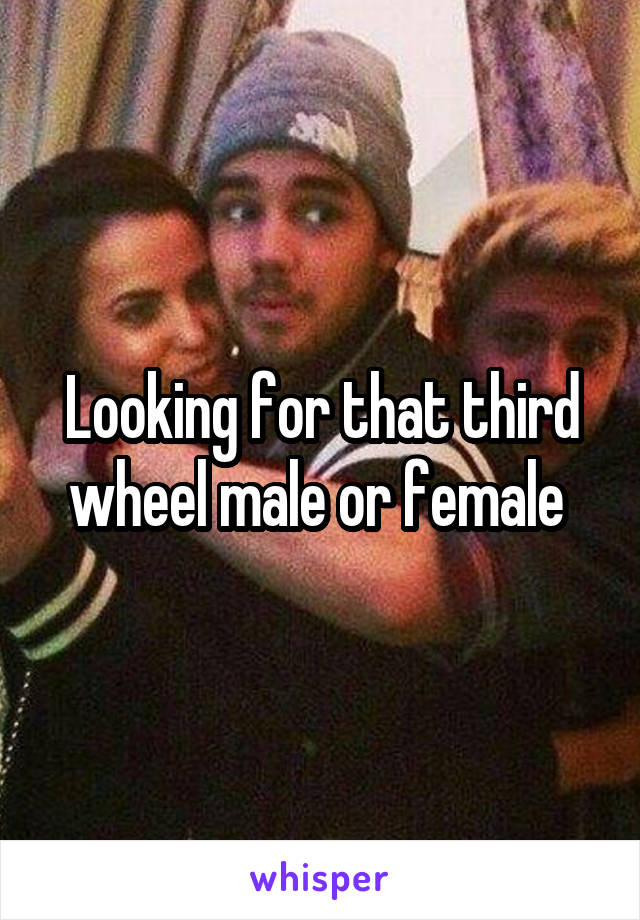 Looking for that third wheel male or female 