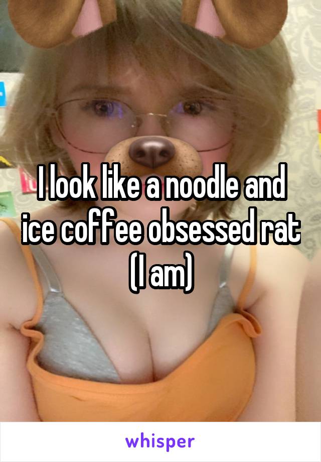 I look like a noodle and ice coffee obsessed rat (I am)