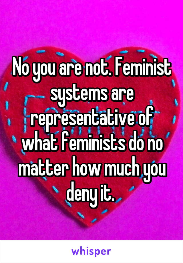 No you are not. Feminist systems are representative of what feminists do no matter how much you deny it. 