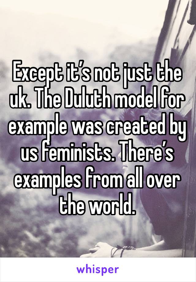 Except it’s not just the uk. The Duluth model for example was created by us feminists. There’s examples from all over the world. 