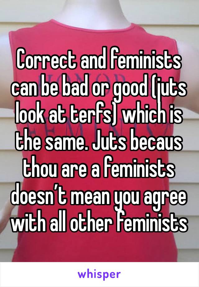 Correct and feminists can be bad or good (juts look at terfs) which is the same. Juts becaus thou are a feminists doesn’t mean you agree with all other feminists 