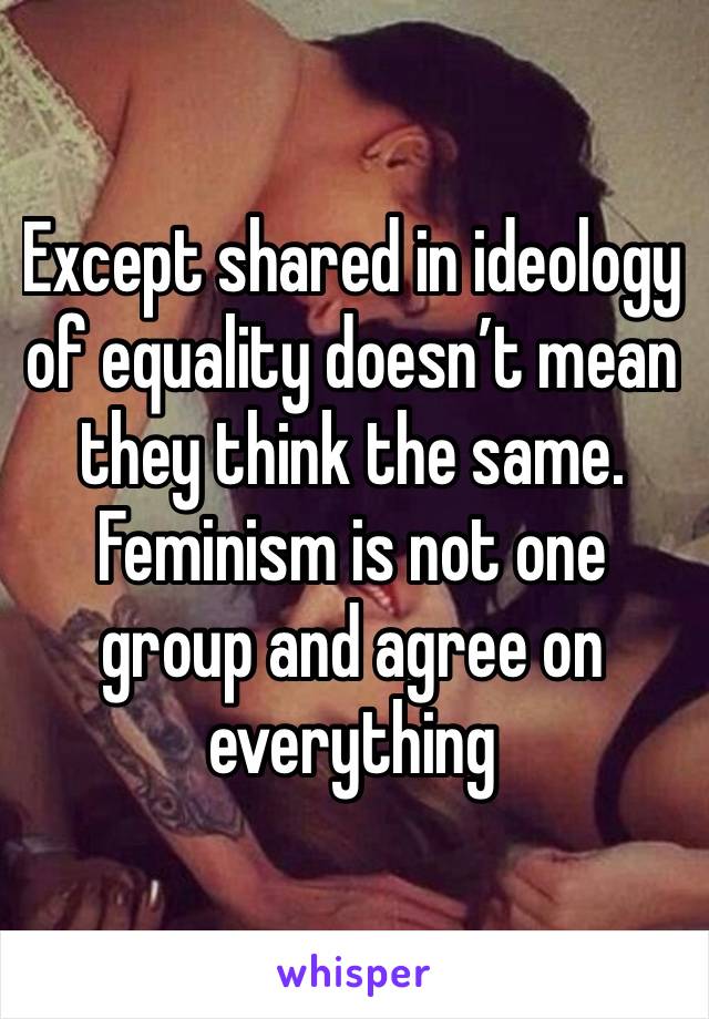 Except shared in ideology of equality doesn’t mean they think the same. Feminism is not one group and agree on everything 