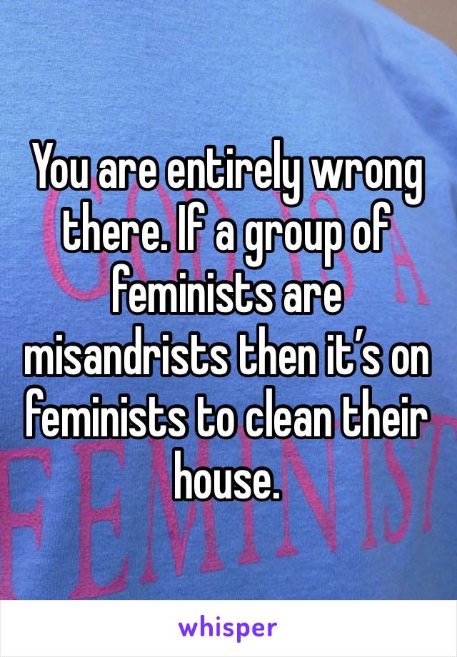 You are entirely wrong there. If a group of feminists are misandrists then it’s on feminists to clean their house. 