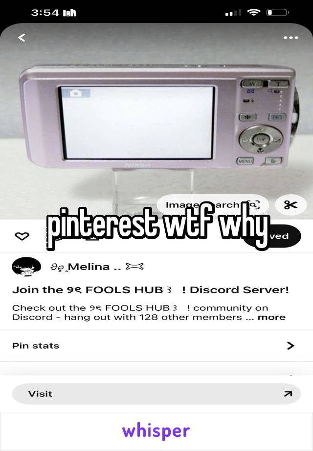 pinterest wtf why