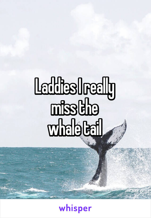 Laddies I really 
miss the 
whale tail 