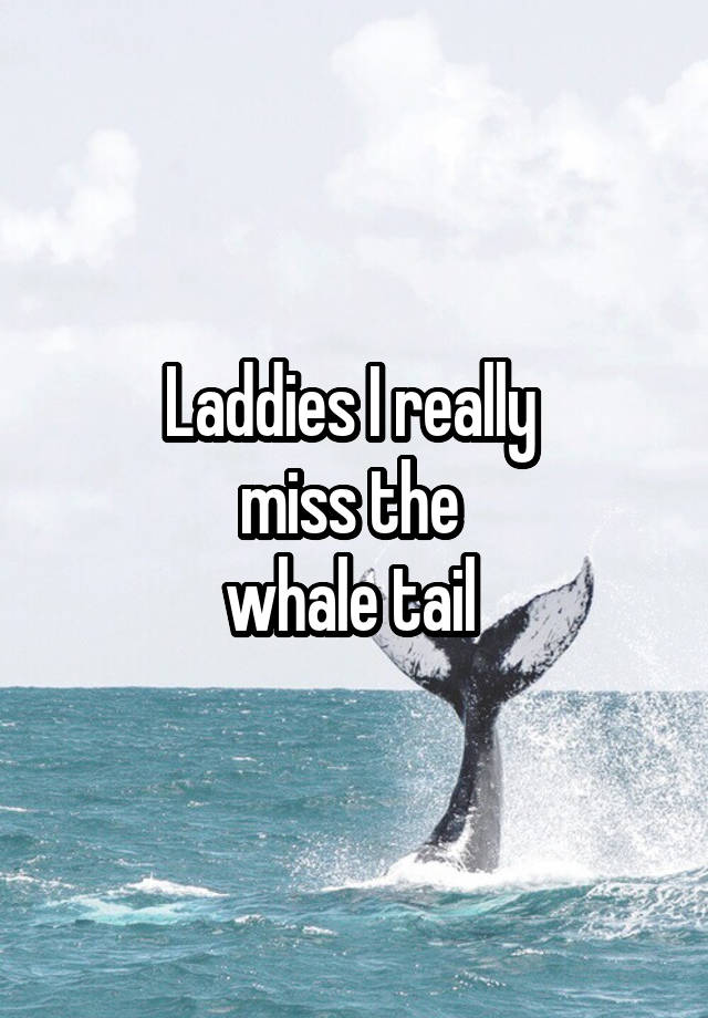 Laddies I really 
miss the 
whale tail 