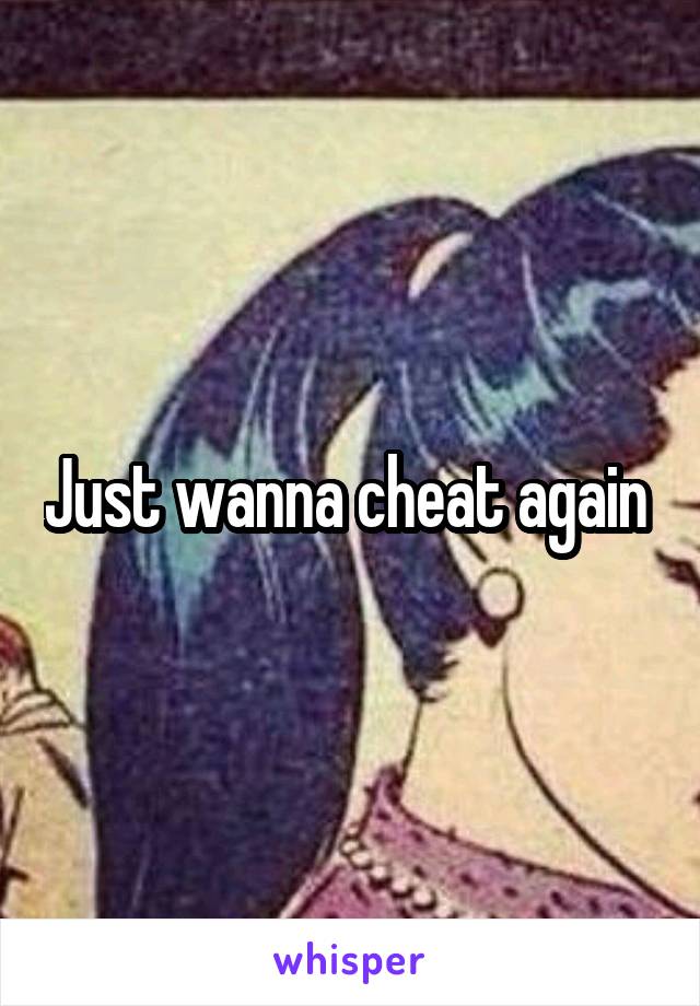 Just wanna cheat again 