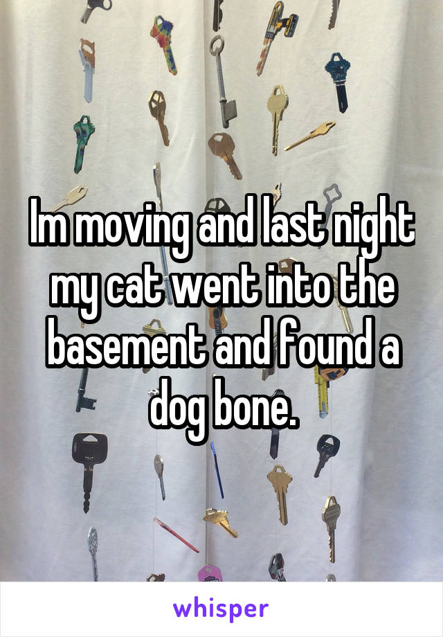 Im moving and last night my cat went into the basement and found a dog bone.