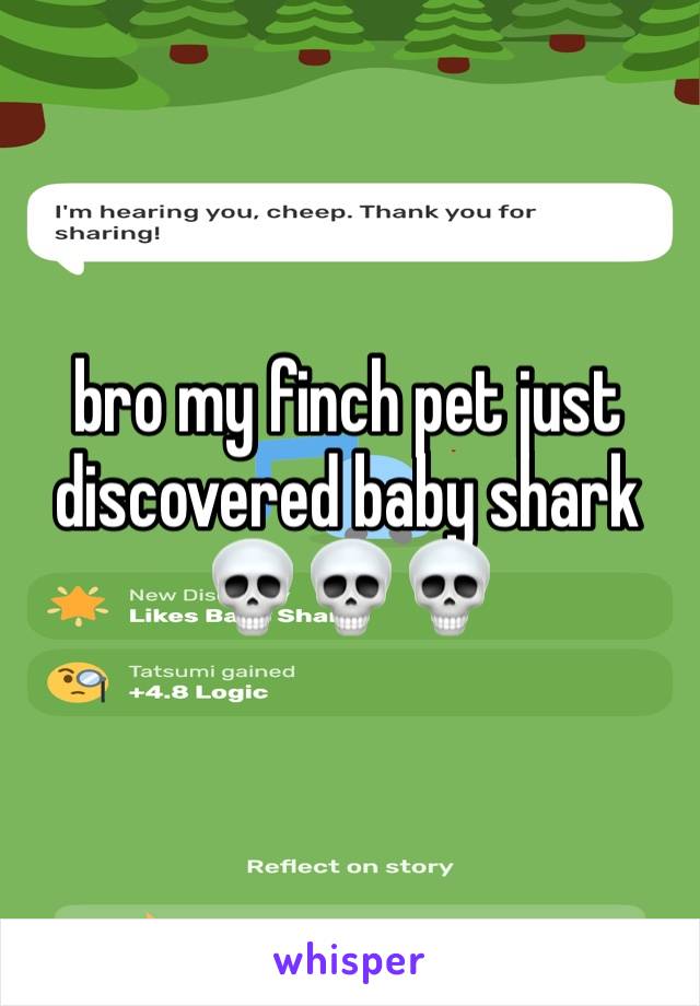 bro my finch pet just discovered baby shark 💀💀💀