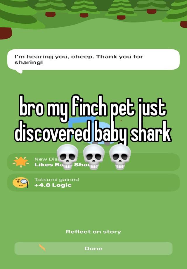 bro my finch pet just discovered baby shark 💀💀💀