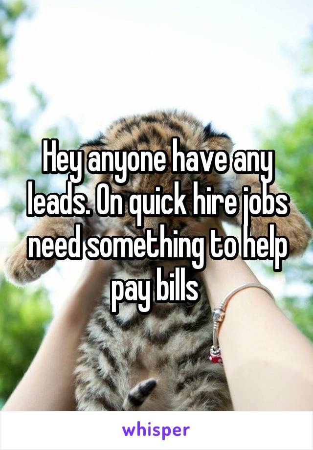 Hey anyone have any leads. On quick hire jobs need something to help pay bills 