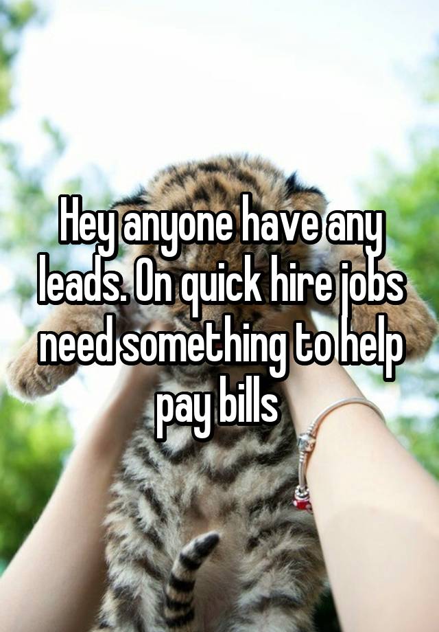 Hey anyone have any leads. On quick hire jobs need something to help pay bills 