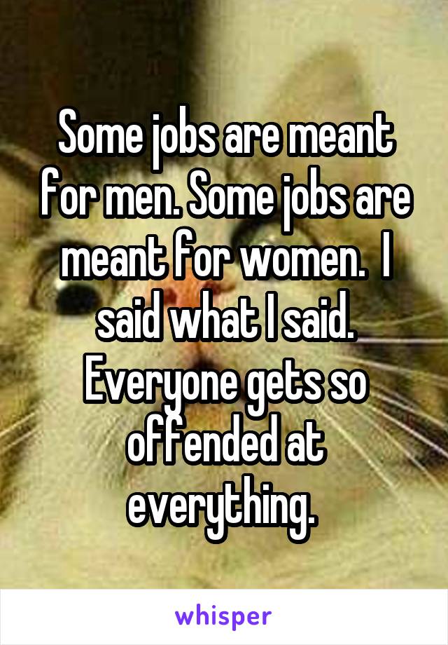 Some jobs are meant for men. Some jobs are meant for women.  I said what I said. Everyone gets so offended at everything. 