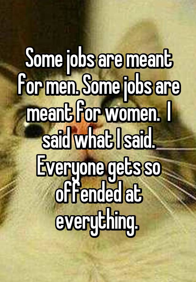 Some jobs are meant for men. Some jobs are meant for women.  I said what I said. Everyone gets so offended at everything. 