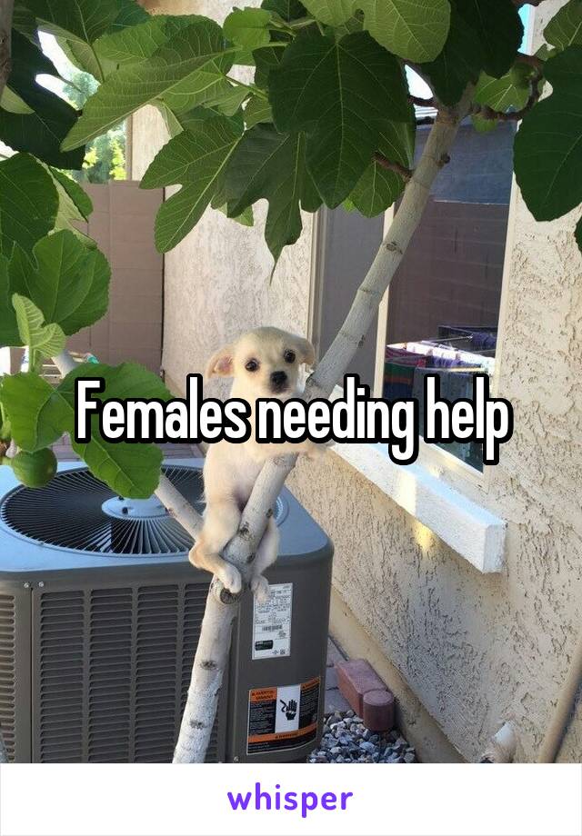 Females needing help