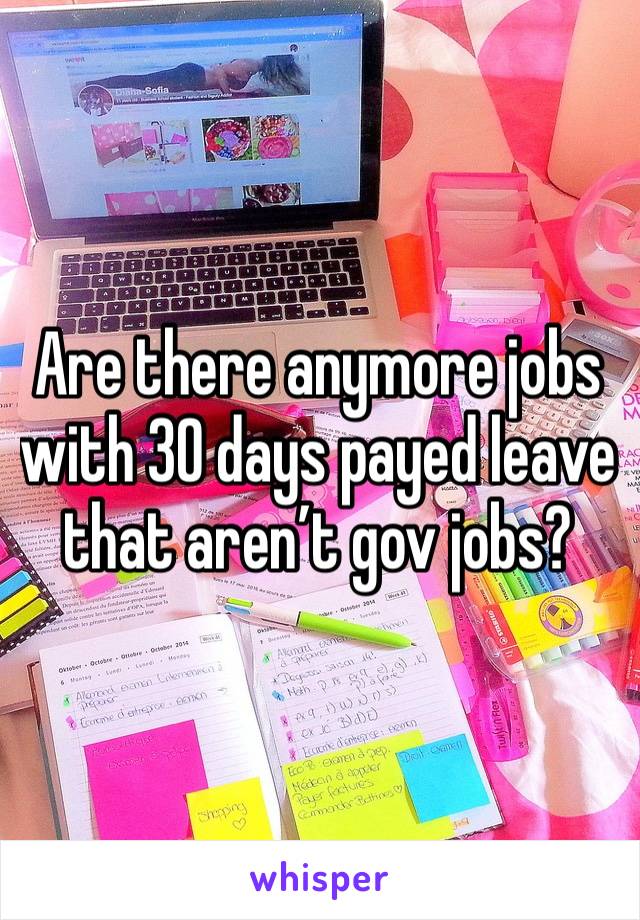 Are there anymore jobs with 30 days payed leave that aren’t gov jobs?