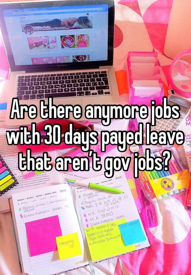 Are there anymore jobs with 30 days payed leave that aren’t gov jobs?