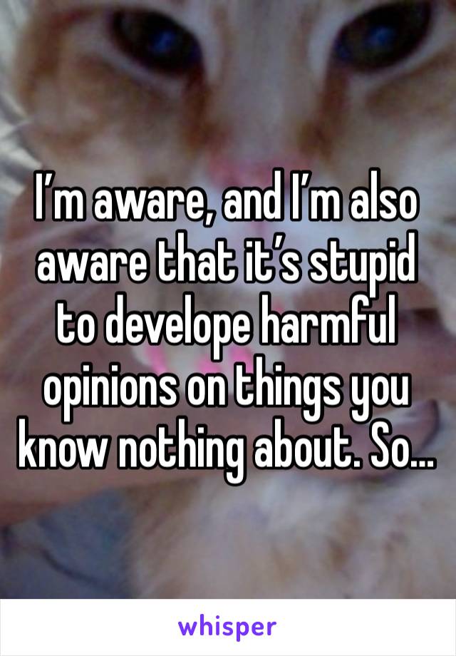 I’m aware, and I’m also aware that it’s stupid to develope harmful opinions on things you know nothing about. So… 