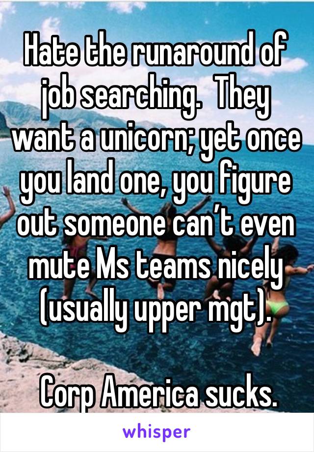 Hate the runaround of job searching.  They want a unicorn; yet once you land one, you figure out someone can’t even mute Ms teams nicely (usually upper mgt).

 Corp America sucks. 