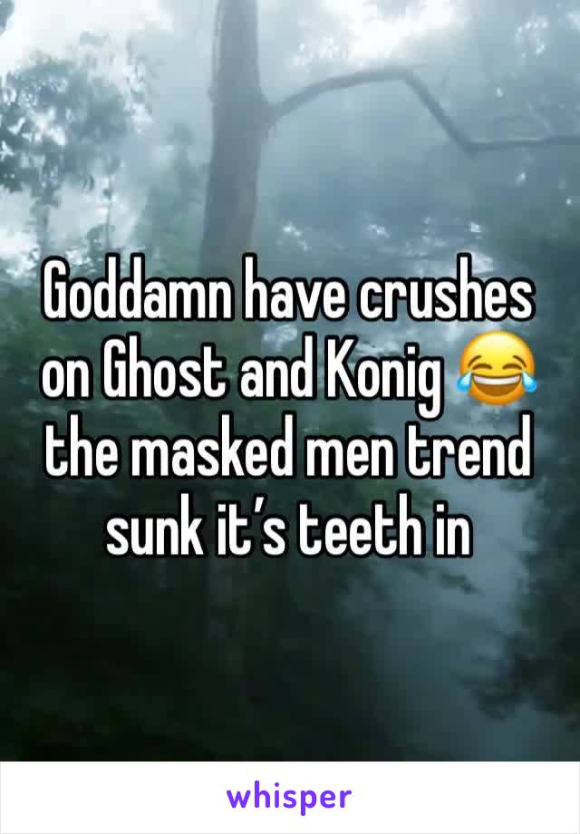 Goddamn have crushes on Ghost and Konig 😂 the masked men trend sunk it’s teeth in